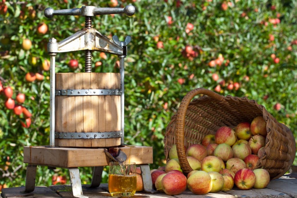 Mahlapress õunamahla valmistamiseks